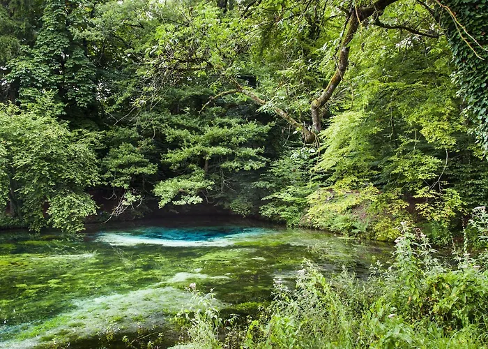 Logis La Source Bleue Hotel
