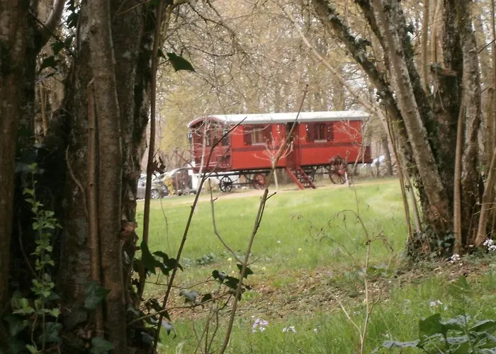 Logis La Source Bleue מלון